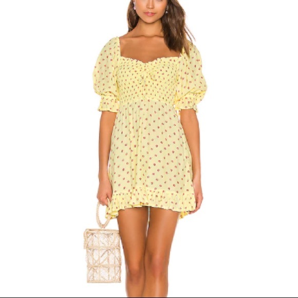 NWT Faithful The Brand Sage Mini Dress Santa Maria Floral Print - Picture 11 of 11